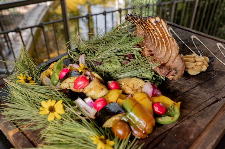 תפריט קיץ 2023 של טרויה (צילום: וואלה! מזל טוב)