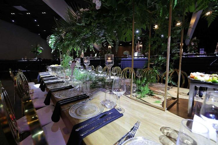 החתונה של ליאור ומיכאל (צילום: שי אסייג)