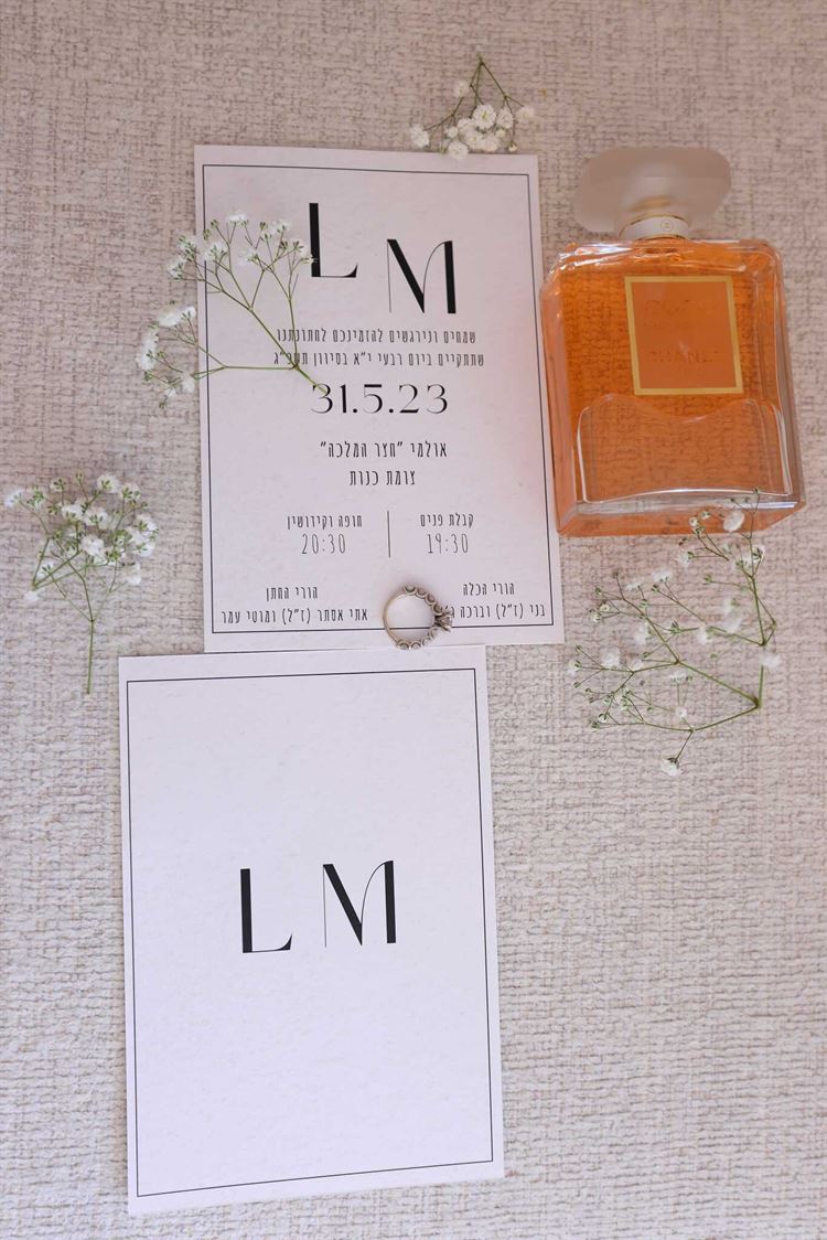 החתונה של ליאור ומיכאל (צילום: שי אסייג)