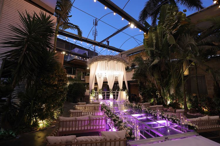 החתונה של ליאור ומיכאל (צילום: שי אסייג)