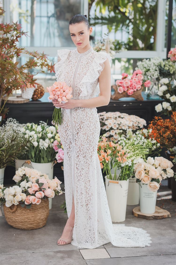 הפקת וואלה! מזל טוב בעדיה (צילום: וואלה! מזל טוב)