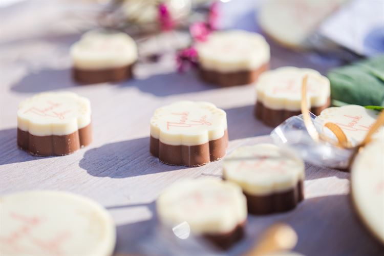 הפקת וואלה! מזל טוב בחוות רונית (צילום: וואלה! מזל טוב)