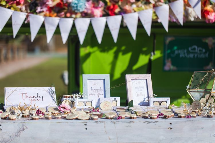 הפקת וואלה! מזל טוב בחוות רונית (צילום: וואלה! מזל טוב)