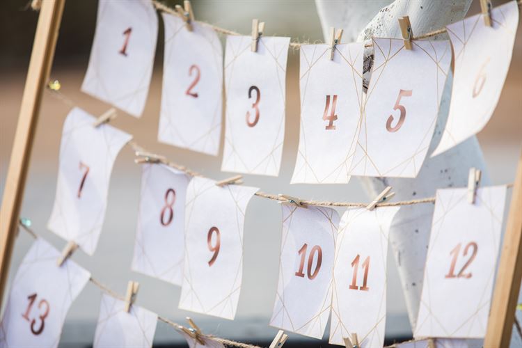 הפקת וואלה! מזל טוב בחוות רונית (צילום: וואלה! מזל טוב)