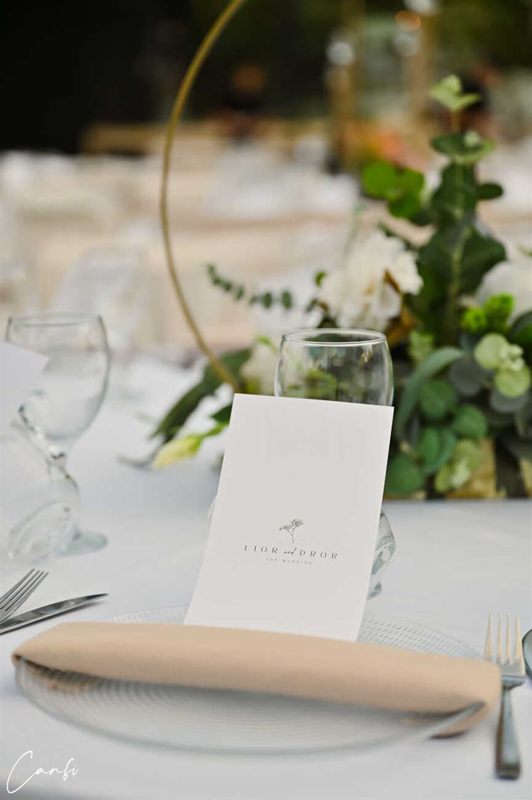 החתונה של ליאור ודרור (צילום: עידן כנפי)