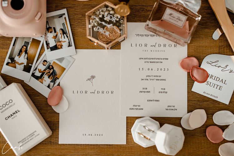 החתונה של ליאור ודרור (צילום: עידן כנפי)