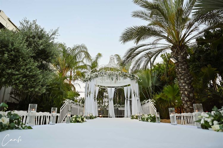 החתונה של ליאור ודרור (צילום: עידן כנפי)