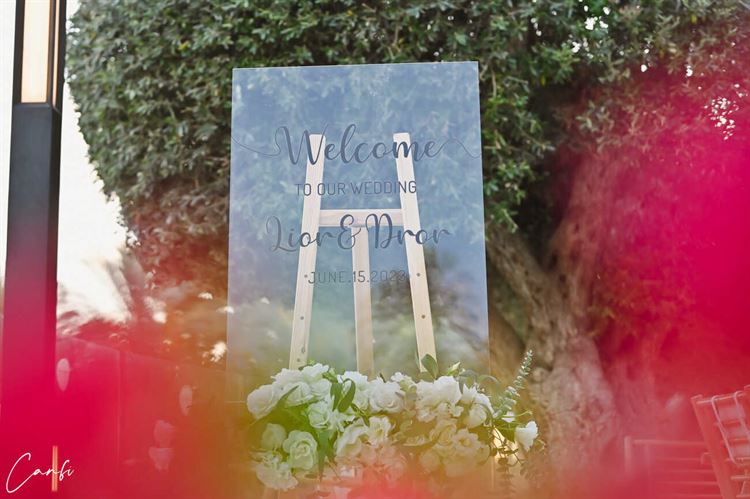 החתונה של ליאור ודרור (צילום: עידן כנפי)