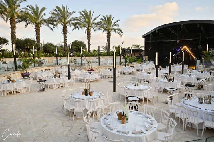 החתונה של ליאור ודרור (צילום: עידן כנפי)