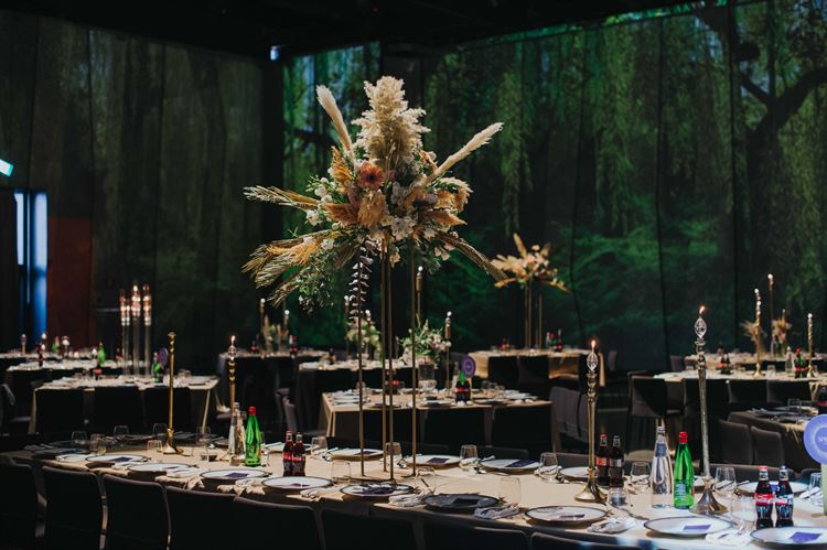 החתונה של גלי וגולן (צילום: עידן חסון)