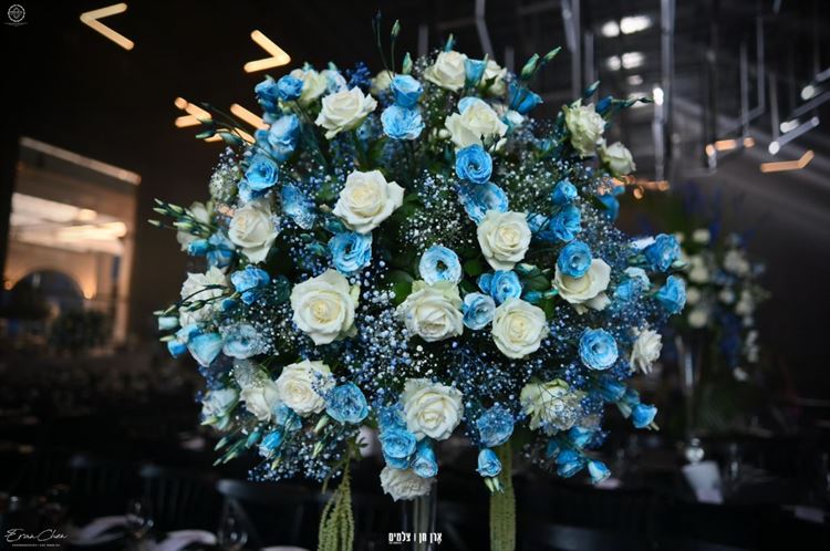 מתחם האירועים עדיה (צילום: ארן חן צלמים)