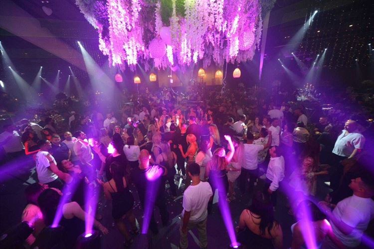 החתונה של אלי ומרים (צילום: דורון רפאל)