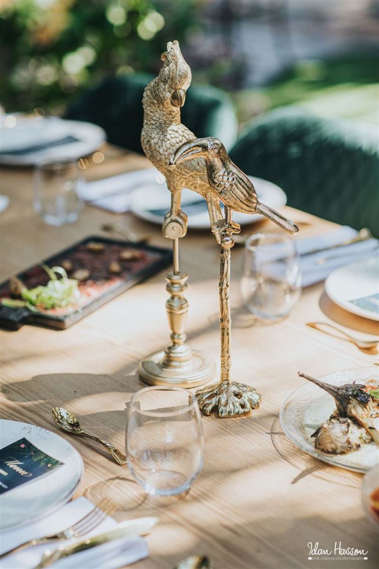 הפקת וואלה! מזל טוב בטרויה (צילום: עידן חסון)