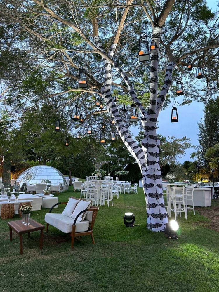 החתונה של אלי ואורי (צילום: ערן בארי)