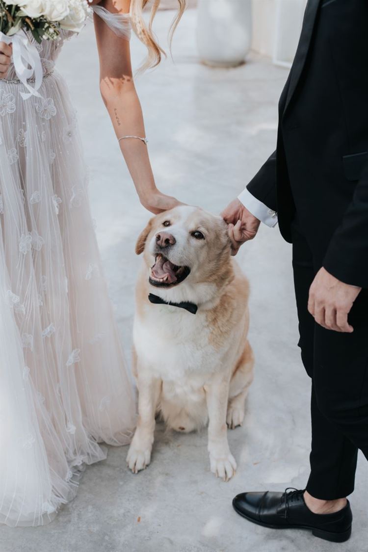 החתונה של ליאת בראייב ודורון אטיאס (צילום: Your Story)