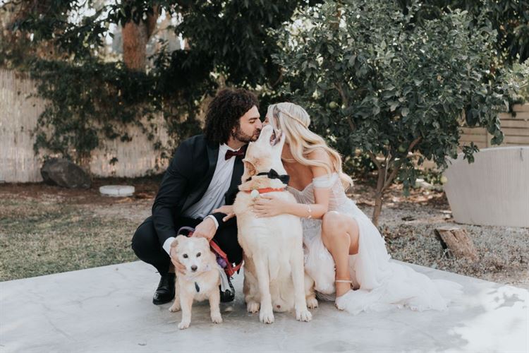 רמת מתיקות גבוהה במיוחד!  (צילום: Your Story)