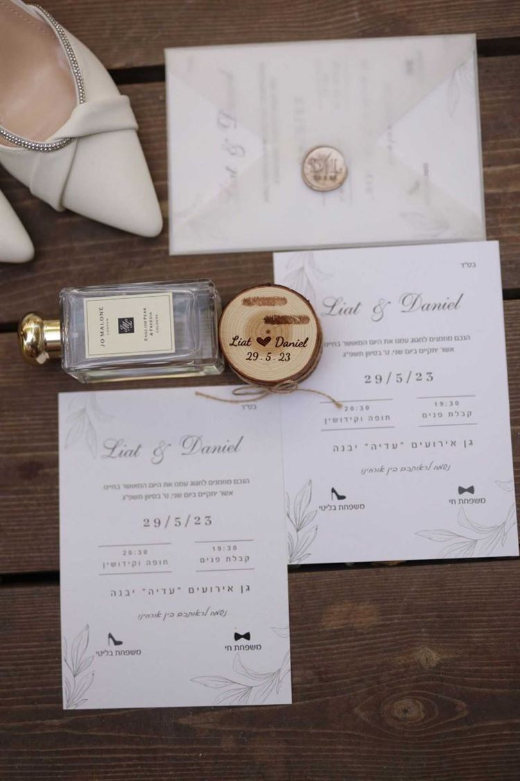 החתונה של ליאת ודניאל (צילום: view photographers)