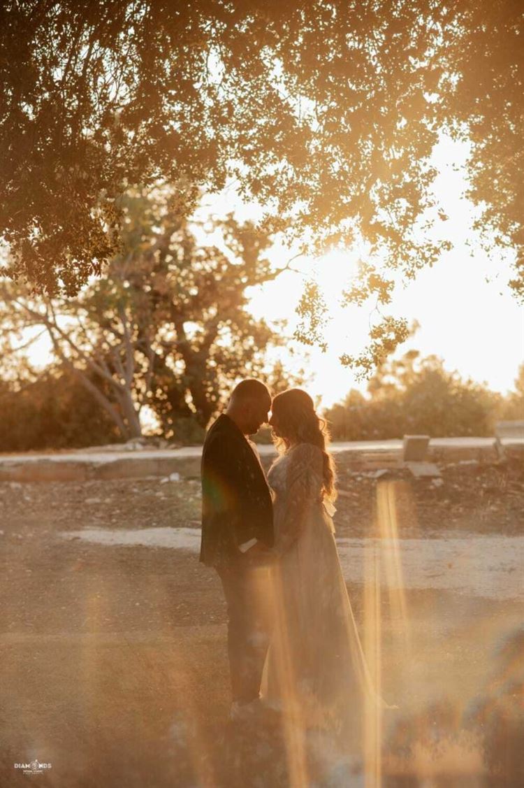 החתונה של חופית ודוד (צילום: דיימונדס)