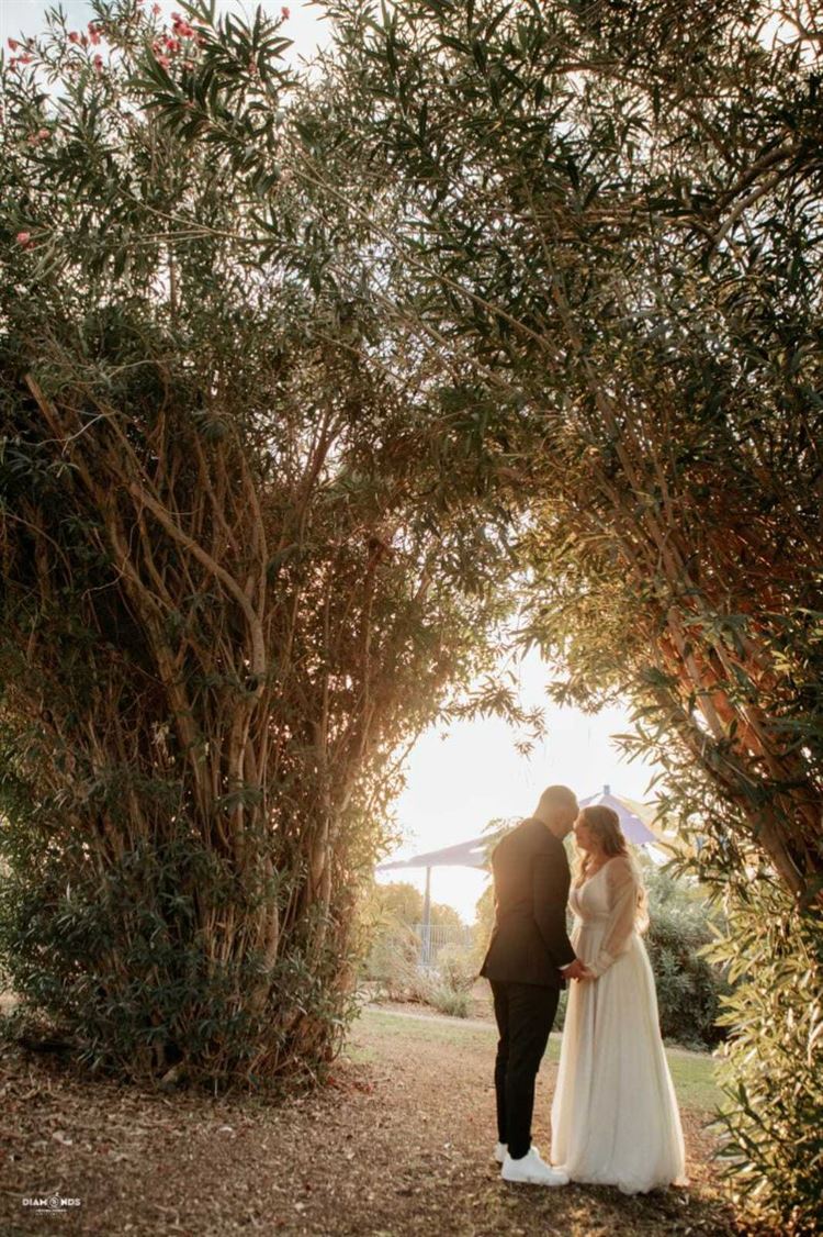 החתונה של חופית ודוד (צילום: דיימונדס)