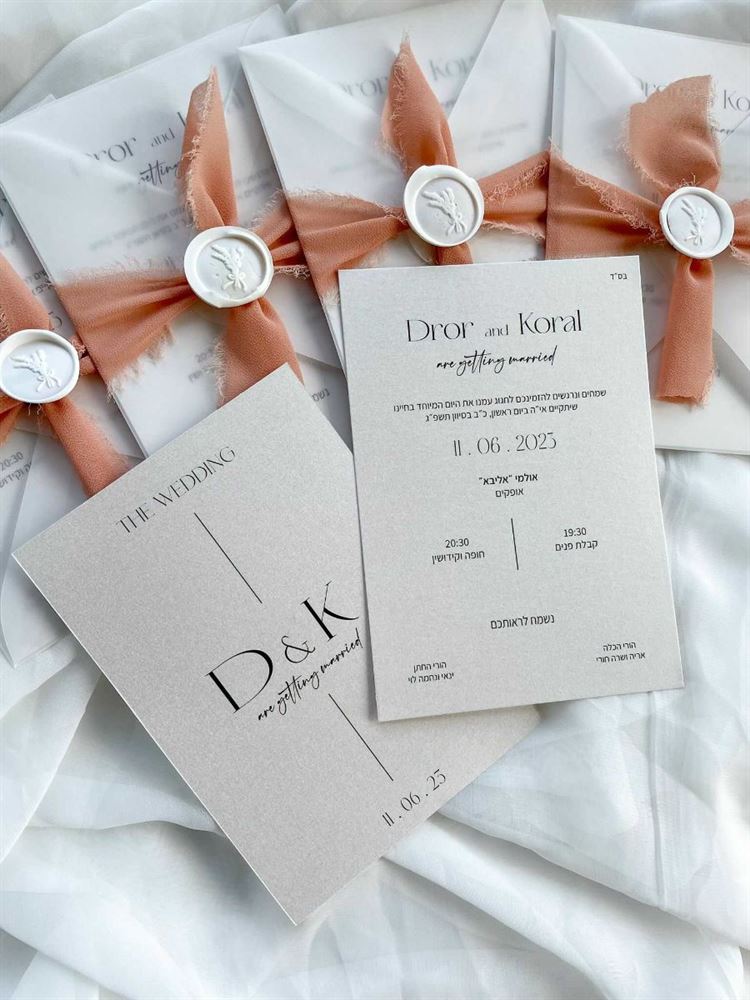 החתונה של קורל ודרור (צילום: משה עמר)