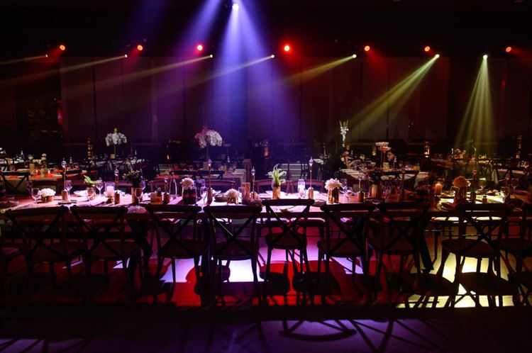 החתונה של לינוי וגולן (צילום: יגאל בוקובזה)