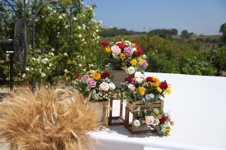 החתונה של ספיר וגלעד (צילום: אודי נווה, קובי לחמיש)