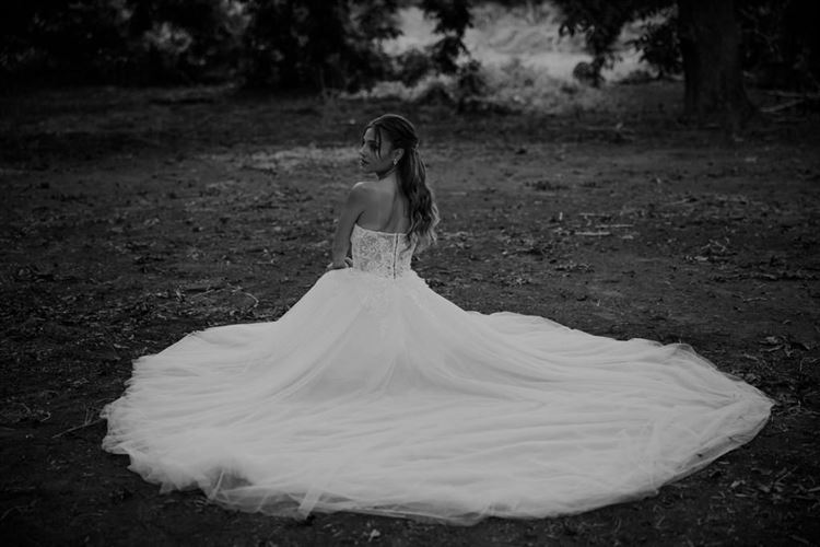 החתונה של מאי וגל (צילום: אלי ראול)