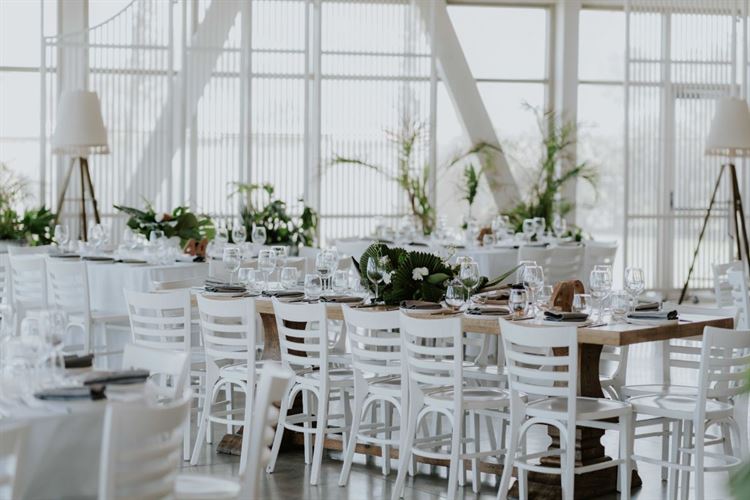 החתונה של אלעד ודריה (צילום: עידו סיטבון)