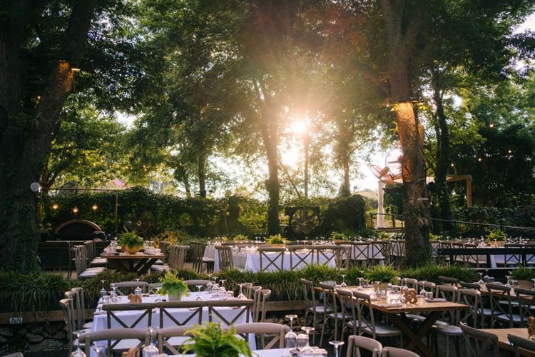 החתונה של קארין ודולב (צילום: אלמוג שלו - קליקה)