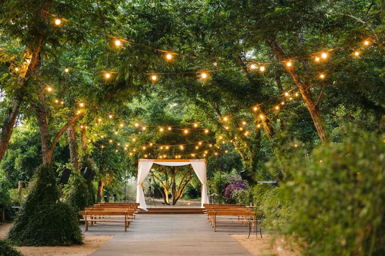 החתונה של קארין ודולב (צילום: אלמוג שלו)