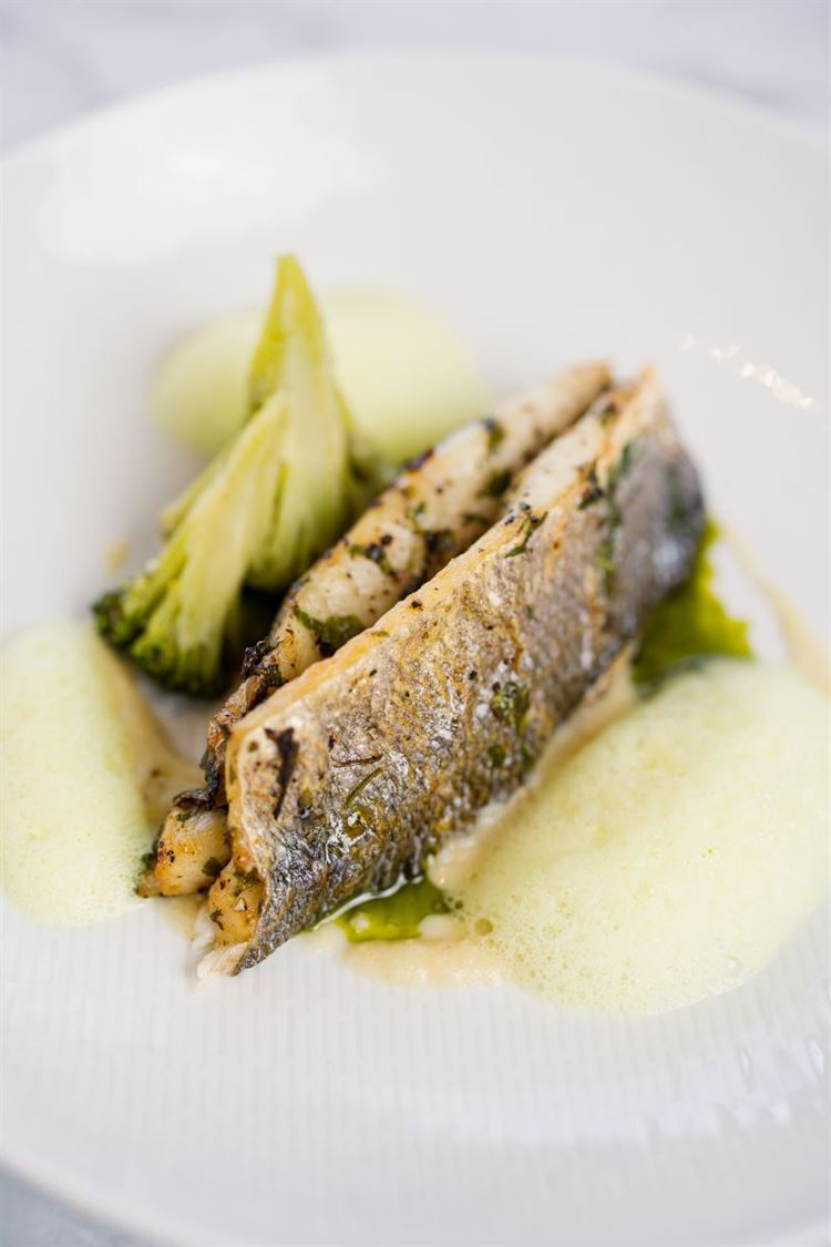 פילה דג ים לבן (צילום: וואלה! מזל טוב)