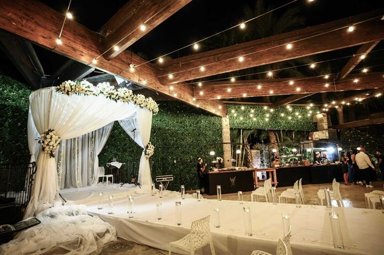 החתונה של שחר ואדיר (צילום: חנן לוסקי)