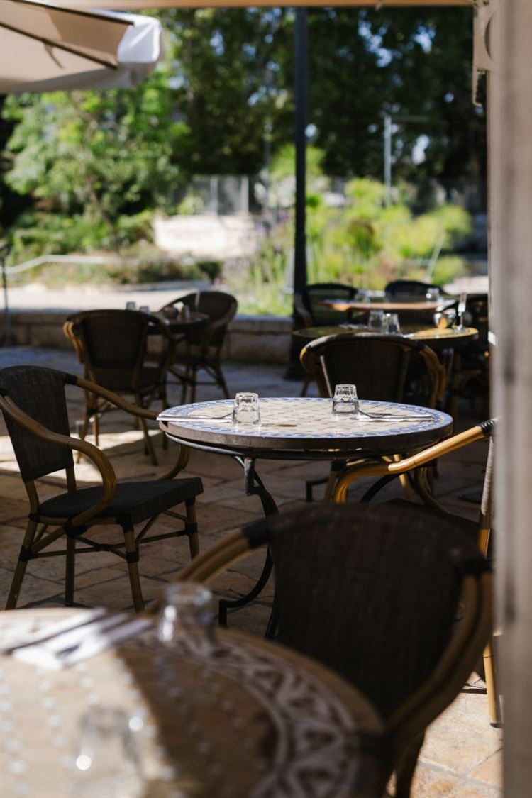 קפית בגן הבוטני (צילום: יח