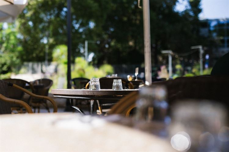 קפית בגן הבוטני (צילום: יח