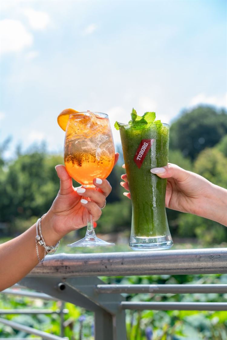 קפית בגן הבוטני (צילום: יח