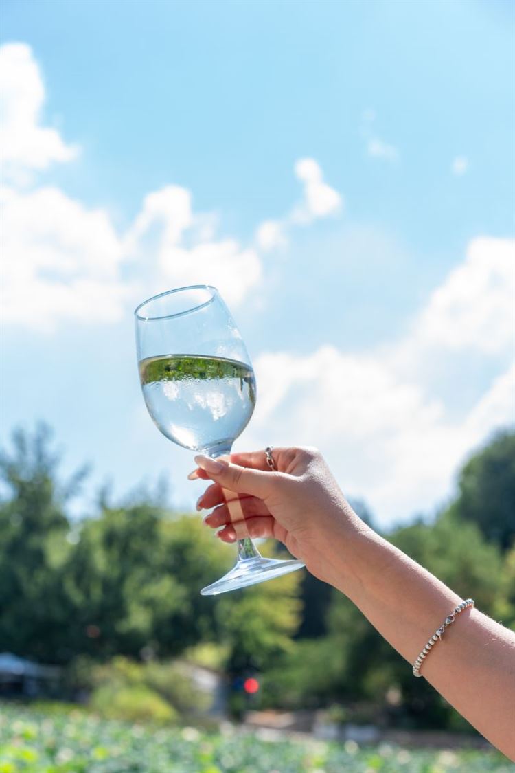 קפית בגן הבוטני (צילום: יח