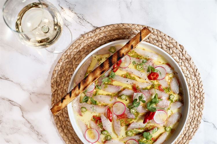 סביצ'ה מוסר ים (צילום: וואלה! מזל טוב)