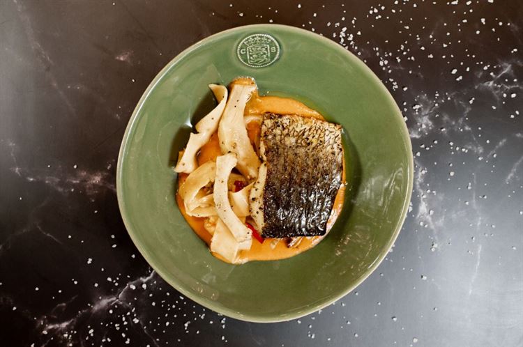 מוסר ים על קרם בטטה וארטישוק (צילום: וואלה! מזל טוב)