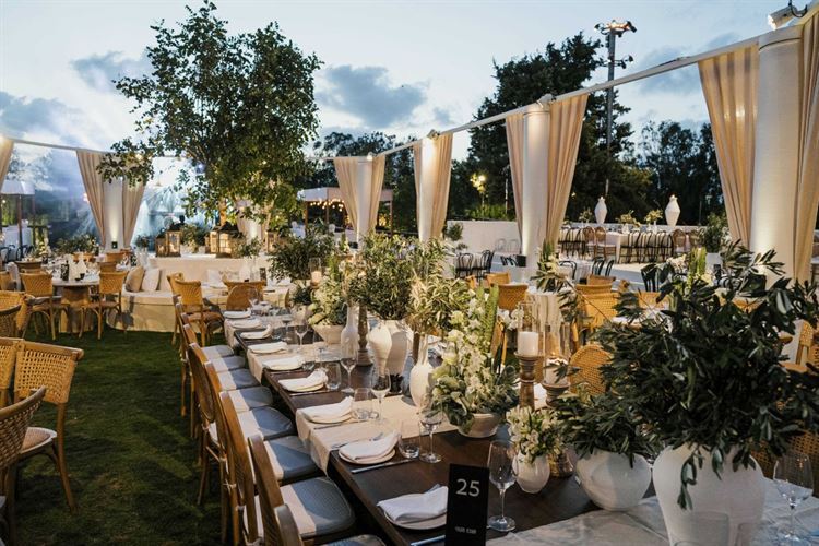 החתונה של אתי ומתן (צילום: יוניק פוטוגרפי)