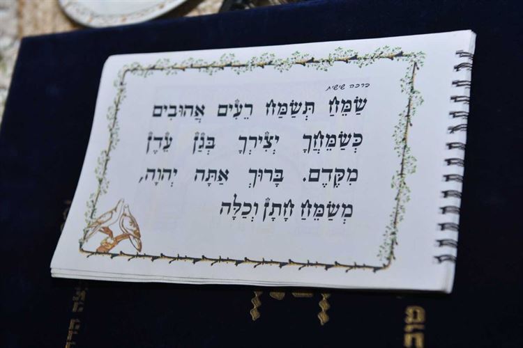 החתונה של קרן ועמית (צילום: שחר גל)