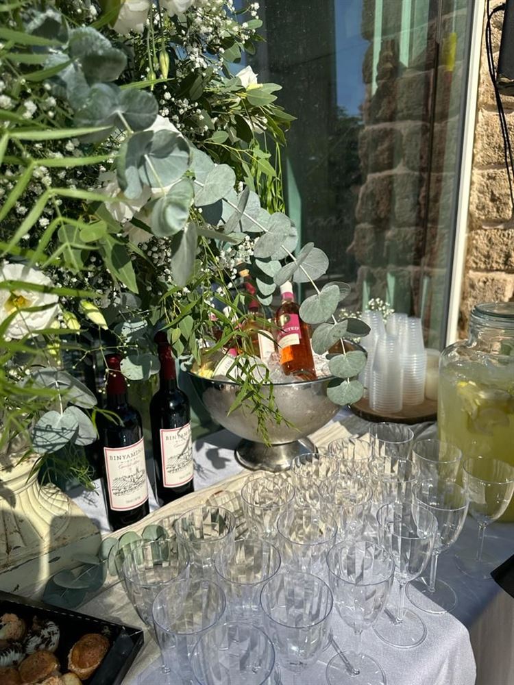 החתונה של שגיא ונועם (צילום: אסף תמם צלמים)