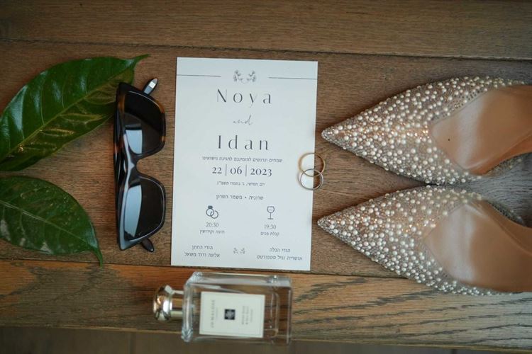 החתונה של נויה ועידן (צילום: אלדד צלמים)