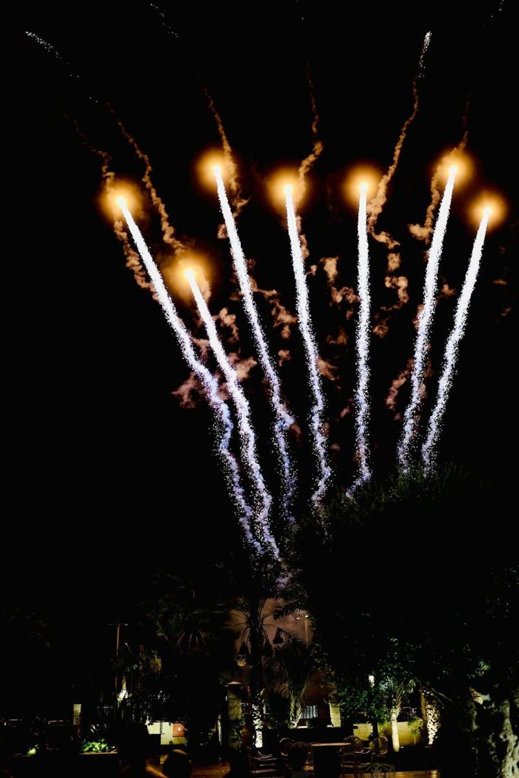 החתונה של נועה ודניאל (צילום: שלומי זנתי)