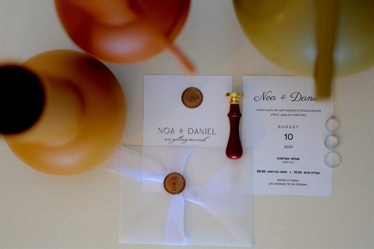 החתונה של נועה ודניאל (צילום: שלומי זנתי)