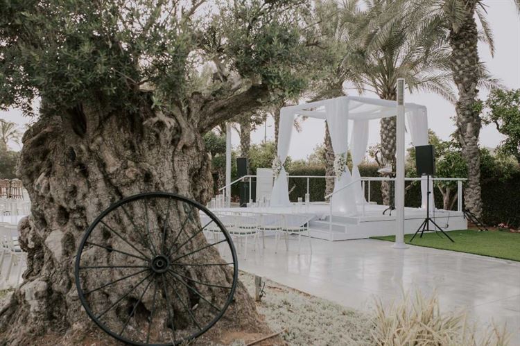 החתונה של ירדן ומאור (צילום: חן לוי)