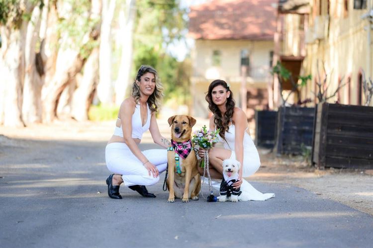 החתונה של שני ונירית (צילום: שאקו הפקות)