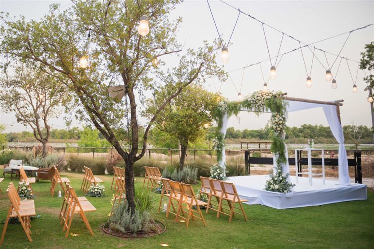 החתונה של אביטל ויהונתן (צילום: לוז)