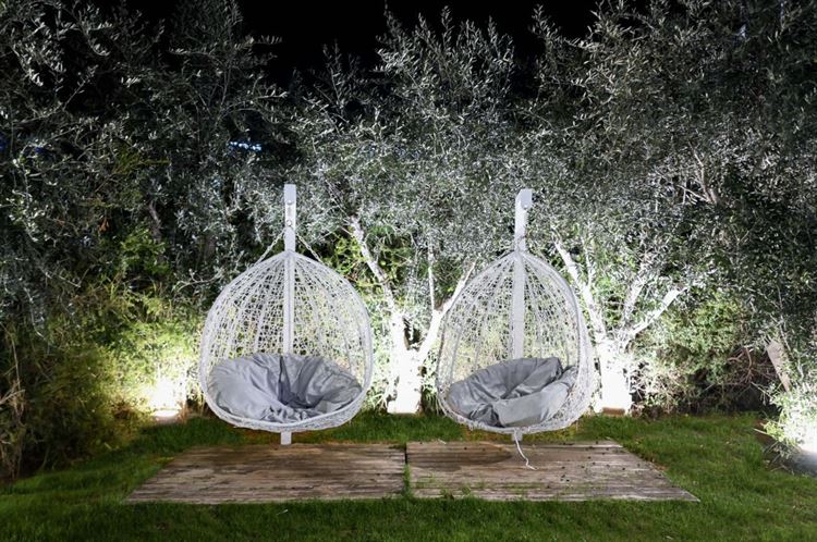 צילום: וואלה! מזל טוב