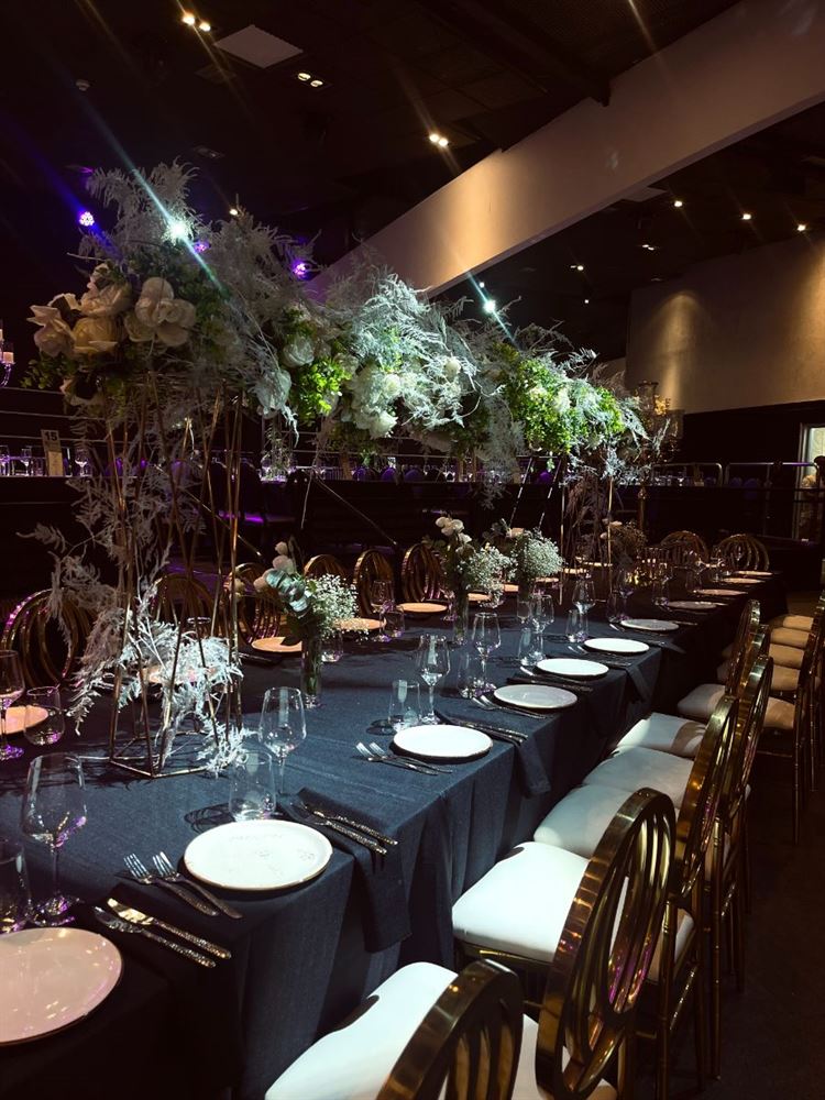 צילום: בן דוד צלמים