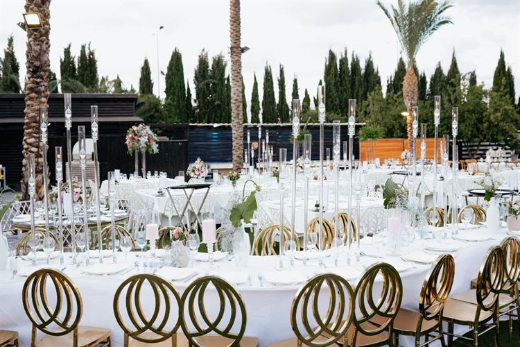 צילום: דיימונדס צלמים